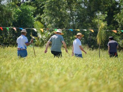 SS Rice News Convention 2025, Pattaya - Thailand